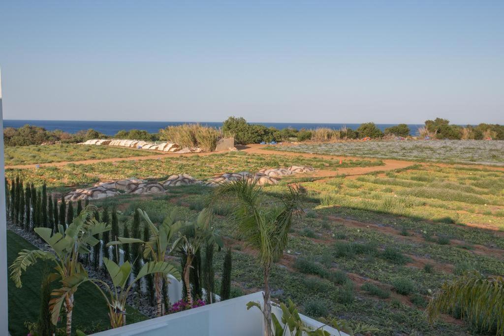 The White H Villa, Protaras, Fresh And Peaceful 帕拉利米尼 外观 照片